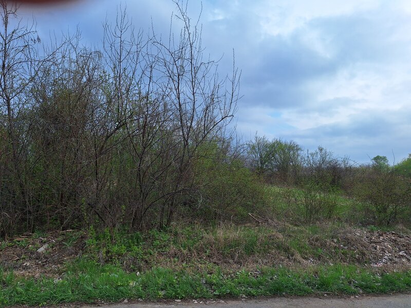Livedea, Ialomita, vanzare teren intravilan,