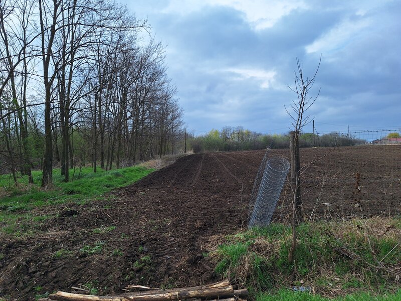 Livedea, Ialomita, vanzare teren intravilan,