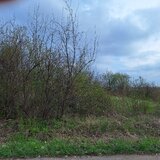 Livedea, Ialomita, vanzare teren intravilan
